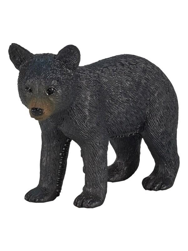 Mojo - Wildlife Black Bear