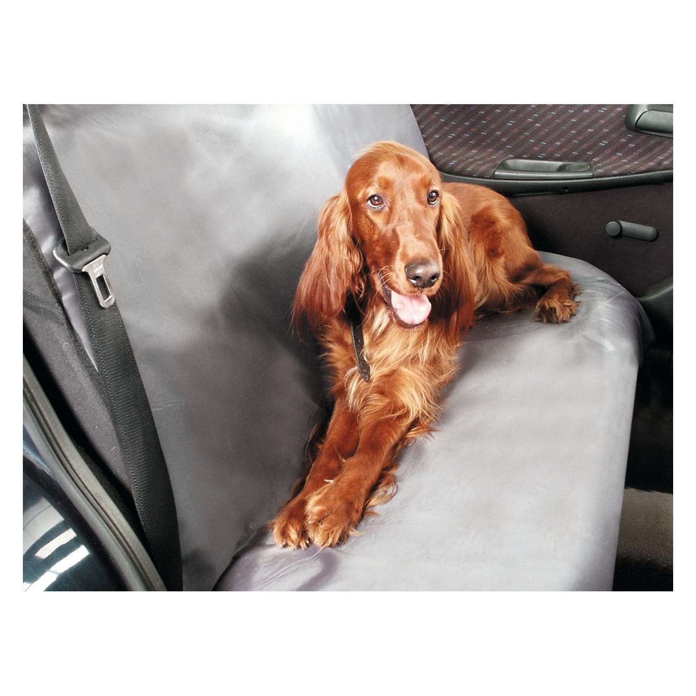 Karlie Car-Guard (Hund), Tiertransport