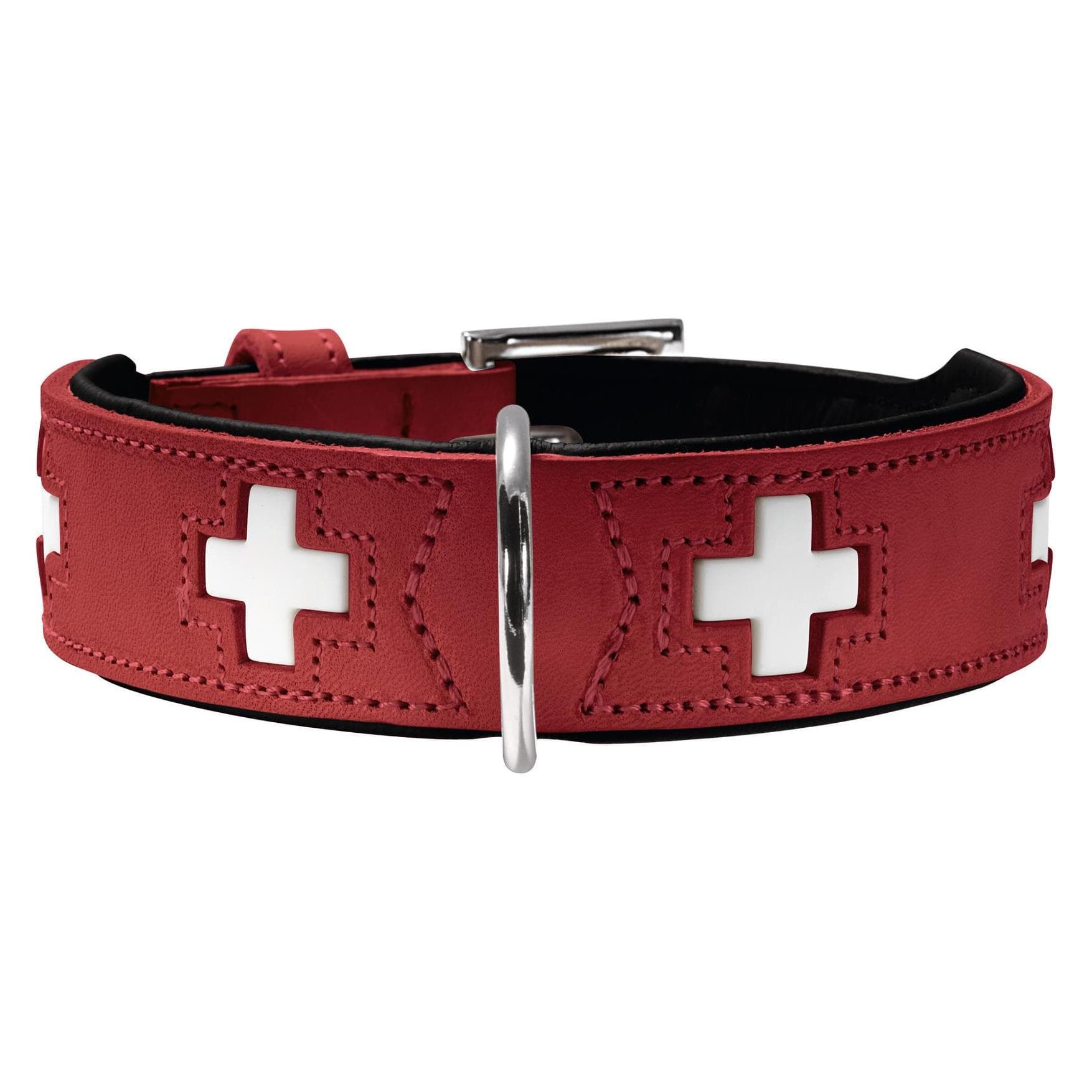 Hunter Swiss (32, Hund), Halsband + Leine