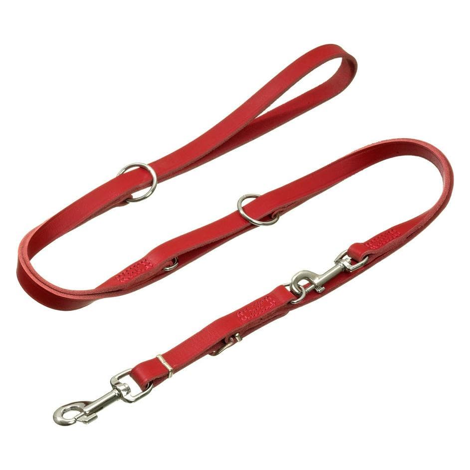 Karlie Rodeo (M, Hund, Spazieren), Halsband + Leine