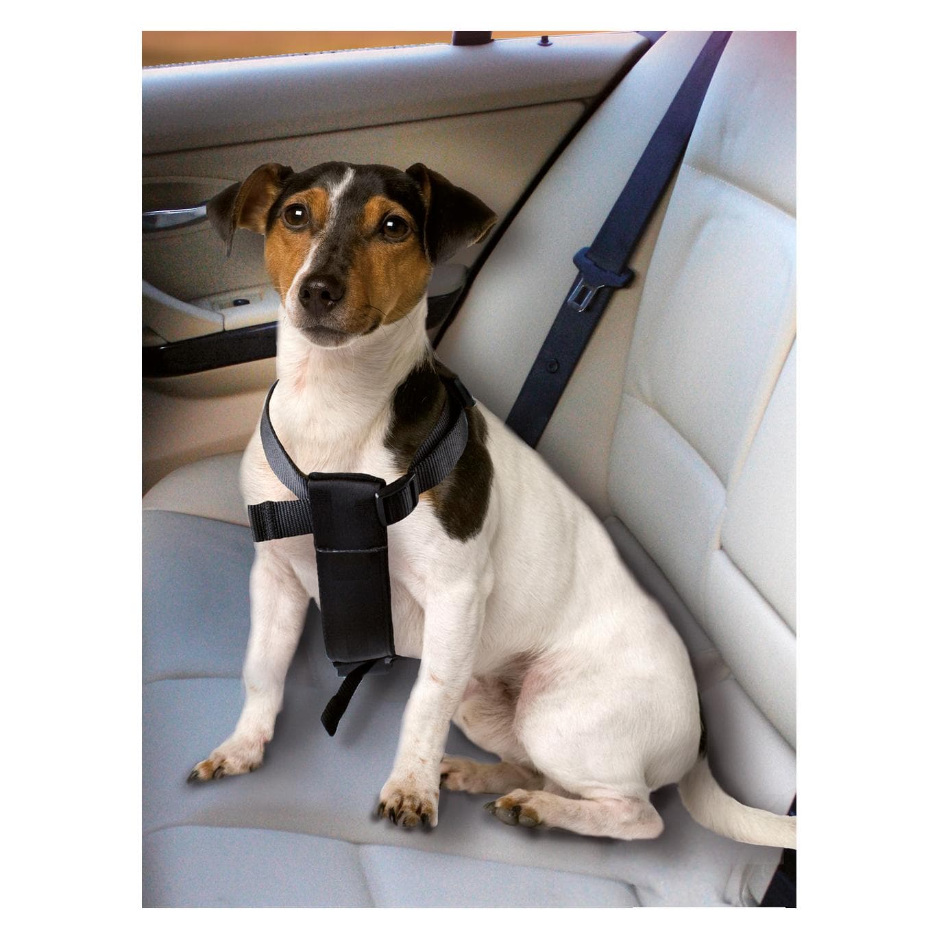 Karlie Auto-Hundegeschirr (Hund), Tiertransport