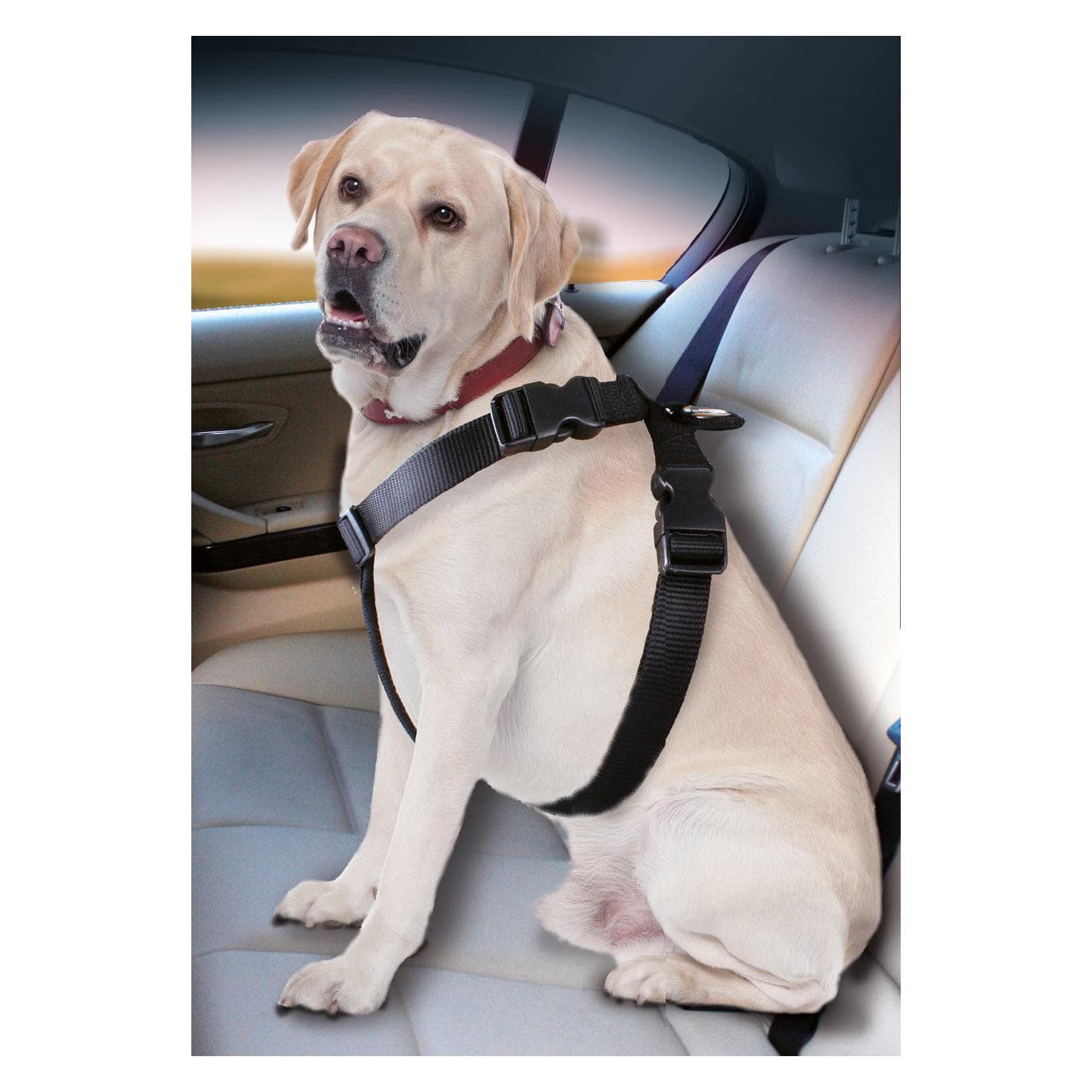 Karlie Auto-Hundegeschirr (Hund), Tiertransport