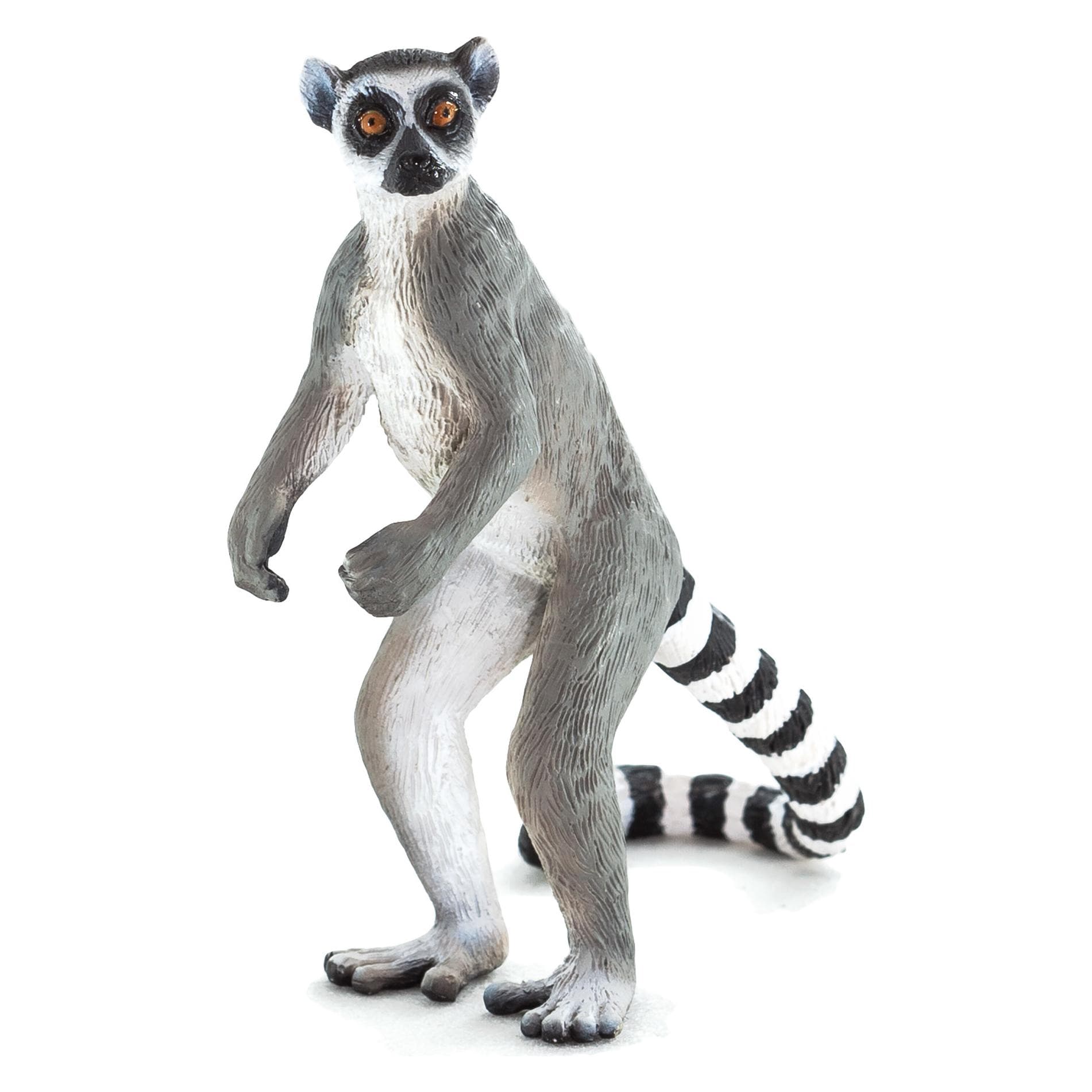 Animal Planet Katta Lemure
