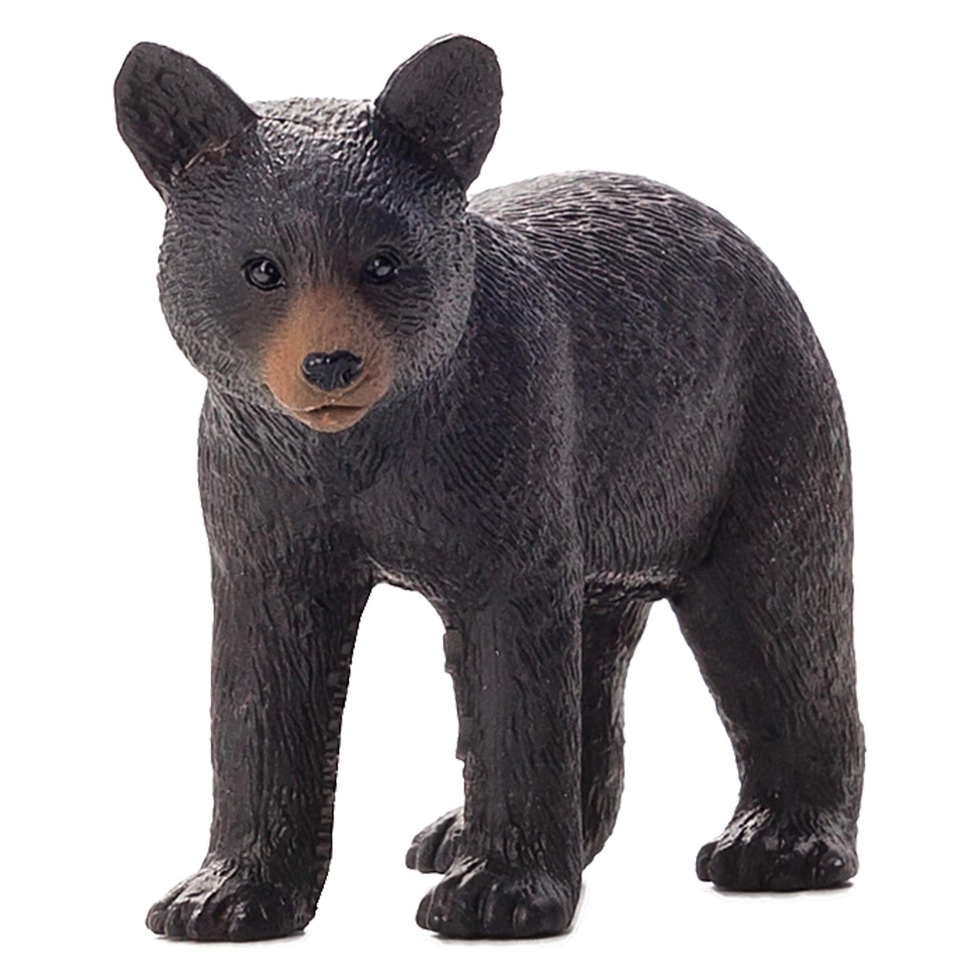 Animal Planet Schwarzbär Junges