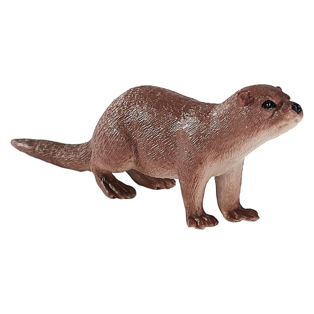 Animal Planet Fischotter