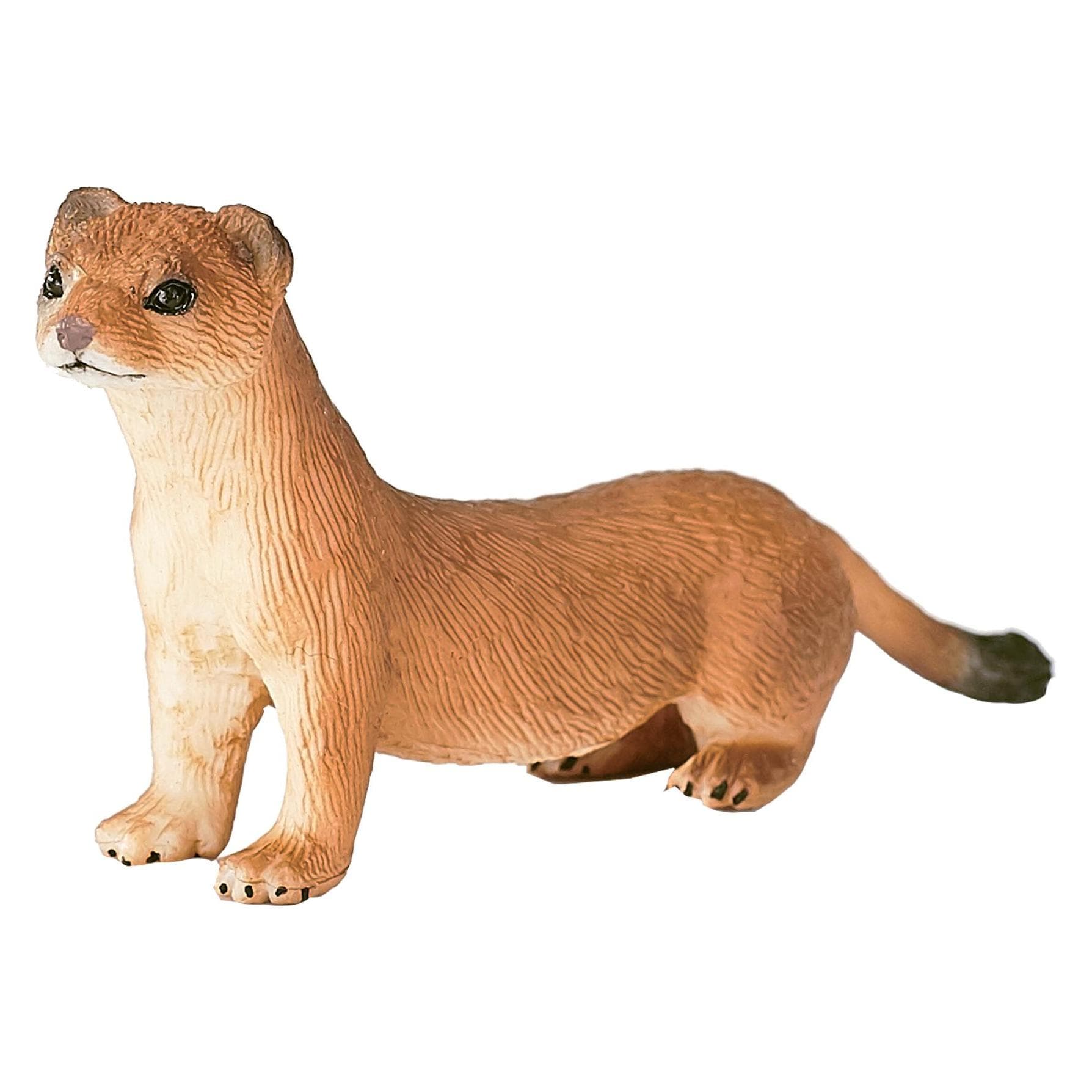 Animal Planet Hermelin
