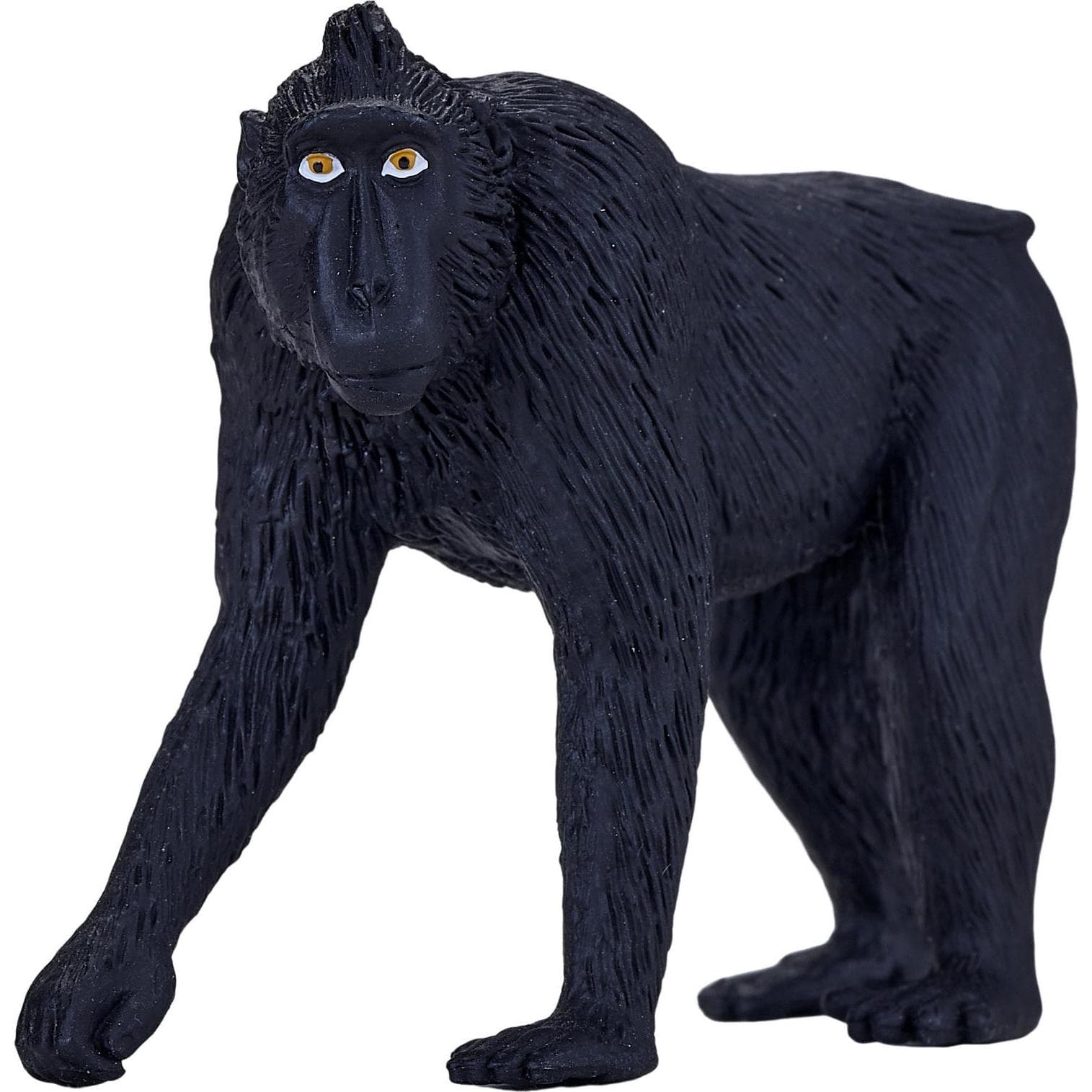 Animal Planet Schopfaffe