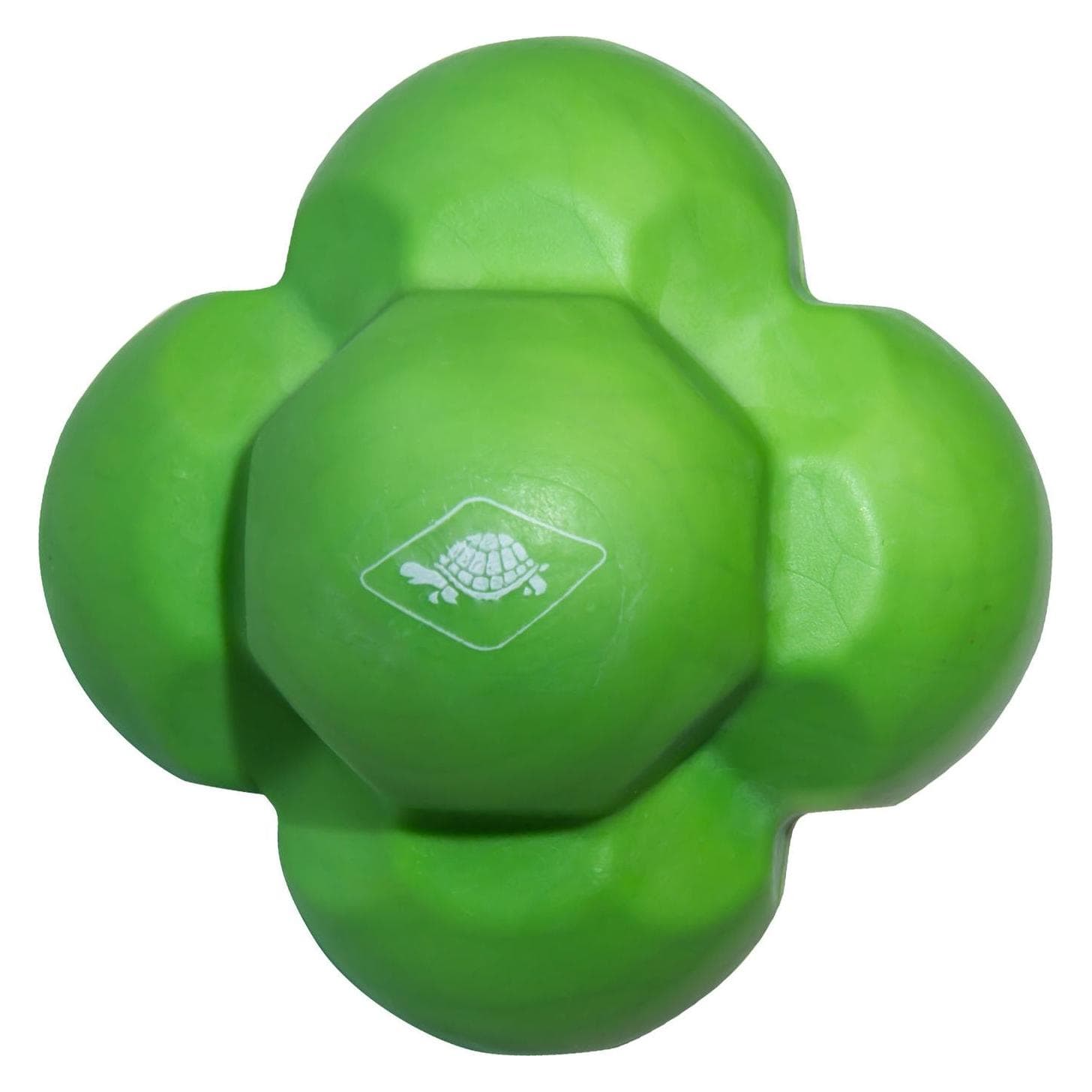 Schildkröt, Zubehör Fitness