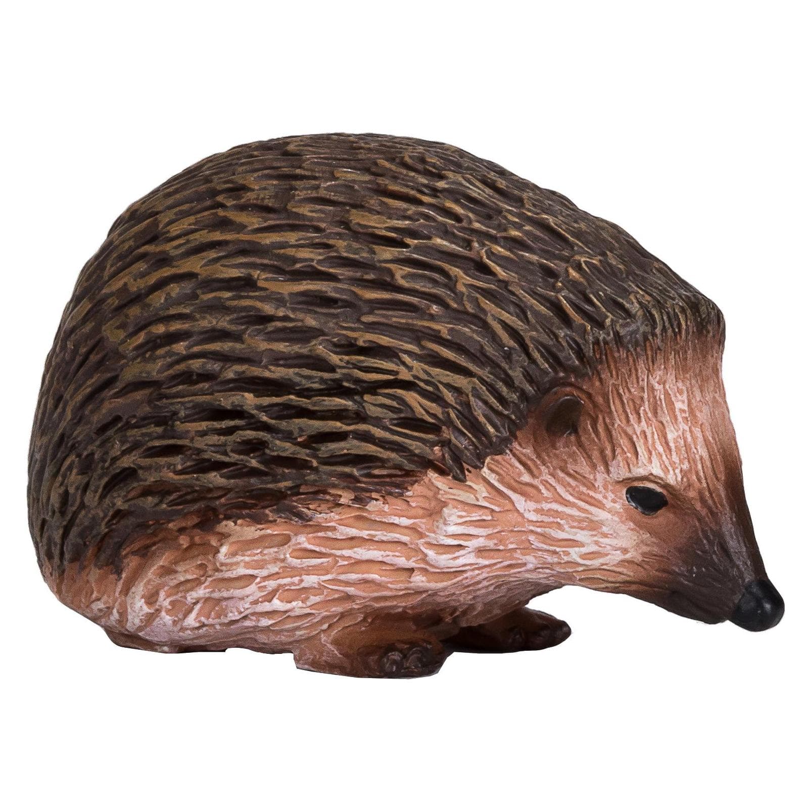 Animal Planet Stacheligel